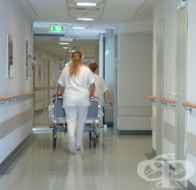 ����������� ���� ����������� ��� ������ �� ���� ���������������